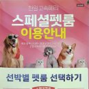 펫클라우드 네이버블로그