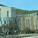 이편한 사우나 | 강원 정선 메이힐스리조트 윌로우 룸 사우나 후기
