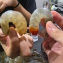 나주 생새우 구매후기 및 새우회, 새우구이 맛집[나주금천왕새우]
