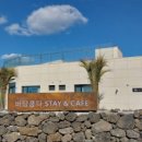 바당쿰다 이미지