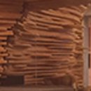 더 펫츠 이미지