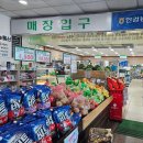 세자매국수 | 귤따러 뿡따러🍊 3박4일 세자매 제주여행 2일차 (판포포구, 맛집들, 하나로마트, 현의 문장)