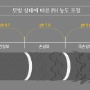 연화헤어 네이버블로그