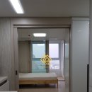 에코세잔 이미지