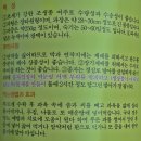 양배추/여주/파슬리/어수리/초석잠모종 키우기 이미지