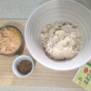 야참나라 이미지