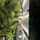 박정석 | [마포/홍대]피씨방 여기로 정착할게요 &#39;박정석 PC방&#39; 후기