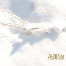 방은목장 네이버블로그