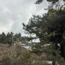 동백목장 | 제주도 가볼만한곳 I 도치돌알파카목장 후기 (입장료,먹이주기, 내돈내산)