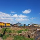 대정 골드빌라스 풀빌라 대가족숙소 이미지