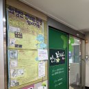 난초꽃피다임앤오안과의원 | 난초꽃피다임앤오안과 다녀오게 된 이야기(안과 정기검진 꼭 받으세요^^)