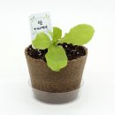 팜팜농장 이미지