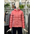 크로커다일레이디 이미지