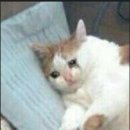 골스포 | 영화 프로젝트 헤일메리 아이맥스 후기 | 영등포 타임스퀘어 아이맥스 쿠키영상 존재유무 스포X