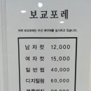 보교포레 이미지