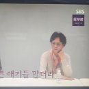 보배조아