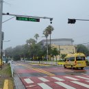 주정차단속-119 이미지