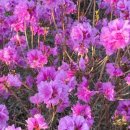 개화2리마을회관 이미지