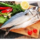 정직한 피트니스 이미지