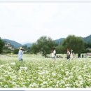 (주)아름관광여행사 - 청주시 청원구 | (주)아름관광여행사