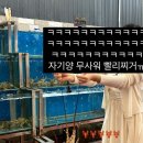제이제이커피(JJ Coffee)재료 마트 | 베트남 나트랑 2박4일 커플여행 코스 일정 숙소추천 맛집 기념품 나트랑카페 Ola 올라카페 후기
