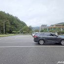 신흥로 은행나무테마거리 | 가을 여행 10월 여행지 추천 괴산 문광저수지 은행나무길