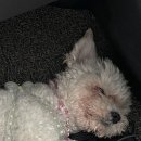 오프리쉬