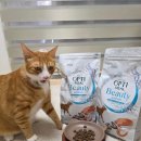 샤이니덴탈 이미지