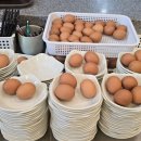 황포냉면 이미지