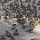 창환농장 이미지