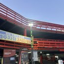 무안뻘낙지 | 전남무안맛집 무안참뻘낙지 방문 솔직후기! 무안낙지골목맛집으로 찐추천