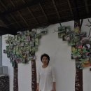 나비농장 이미지