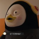 [신사동미용실]신사역 <뷰티살롱엘리자리>라벤더 베이지 염색/탈색 후기