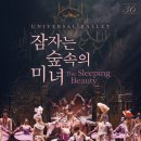 유니버설발레단 동행미디어 시대