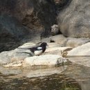 갤러리순 이미지