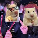 CGV안산 4DX | 아바타3 불과 재ㅣ바람, 물, 진동 온몸으로 느낀 판도라 4DX 관람 후기