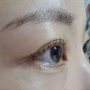레레아속눈썹 | 솔직후기) 기나긴 나의 속눈썹 펌 여정 주안 속눈썹펌 전문점 레레아후기 주안역 속눈썹 펌 상세 후기...