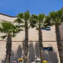 재하목장 | 제주올패스 피규어 뮤지엄 추천 아들이랑 함께라면 꼭 가세요! (남편도 아들임)