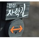 토요걷기는 (5월10일) 카페 개설 14주년 기념으로 서울 시내에서 가장 걷기 좋은 안산 자락길을 갑니다. 이미지