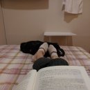 로코모텔 | D-day 보세사 시험 종료