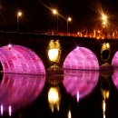 남대천제방길 이미지