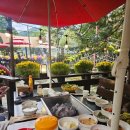 두 Y자(평일) | 포천 당일치기 코스 (2025 포천 한탄강 가든페스타 후기)