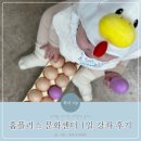 홈플러스(주)서부산점 | 7개월 아기 홈플러스 문화센터 수강 :: 부산 서부산 홈플 문센 ❛꼬꼬 병아리를 찾아라❜ 후기
