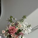 맨디데이즈 이미지