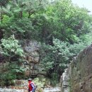 솔밭캠프 이미지