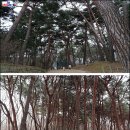 황도면옥 이미지