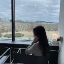 수원 행궁동 카페 추천, 수원 화성뷰 애견동반 카페! &lt;쏠스트릿 행궁점&gt; 후기
