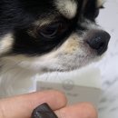 엔케이소프트 이미지