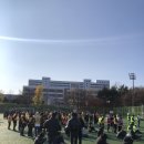 달서구청건너 | 달서구청 낙엽봉사 참가 후기(2024.12.07.토)