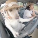 용목장 | [제주도] 2박3일 제주여행! ~ 2일차 ~ 성산일출봉 ⛰️ 아침미소목장 🐄 도시해녀 해녀체험 내돈내산 후기 🐚 !!